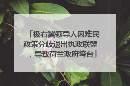 极右翼领导人因难民政策分歧退出执政联盟，导致荷兰政府垮台