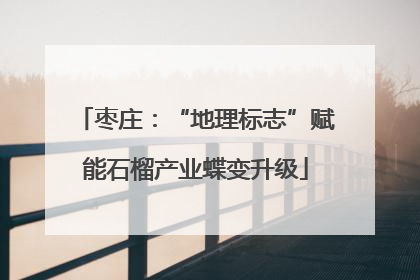 枣庄：“地理标志”赋能石榴产业蝶变升级