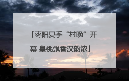 枣阳夏季“村晚”开幕 皇桃飘香汉韵浓