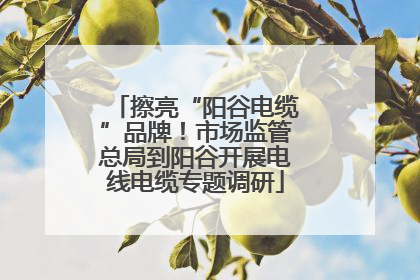 擦亮“阳谷电缆”品牌！市场监管总局到阳谷开展电线电缆专题调研