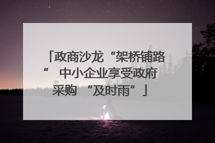 政商沙龙“架桥铺路” 中小企业享受政府采购 “及时雨”