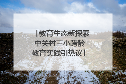 教育生态新探索 中关村三小跨龄教育实践引热议
