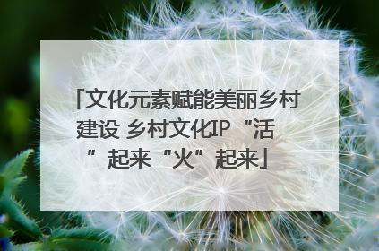 文化元素赋能美丽乡村建设 乡村文化IP“活”起来“火”起来