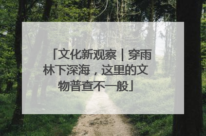 文化新观察｜穿雨林下深海，这里的文物普查不一般