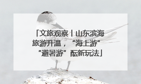 文旅观察丨山东滨海旅游升温，“海上游”“避暑游”酝新玩法