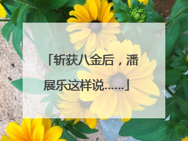 斩获八金后，潘展乐这样说……