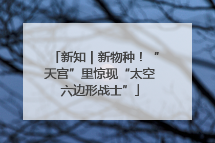 新知｜新物种！“天宫”里惊现“太空六边形战士”