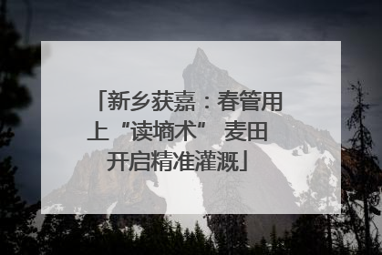 新乡获嘉：春管用上“读墒术” 麦田开启精准灌溉