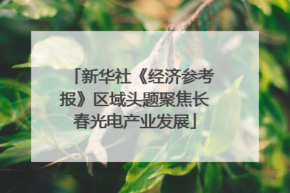 新华社《经济参考报》区域头题聚焦长春光电产业发展