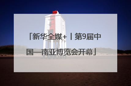 新华全媒+丨第9届中国—南亚博览会开幕