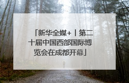 新华全媒+丨第二十届中国西部国际博览会在成都开幕