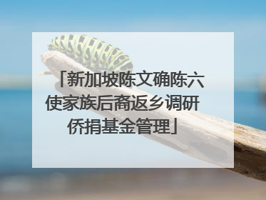 新加坡陈文确陈六使家族后裔返乡调研侨捐基金管理