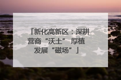 新化高新区：深耕营商“沃土” 厚植发展“磁场”