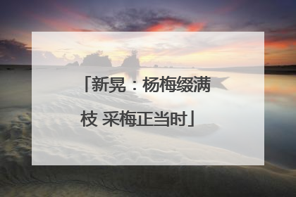 新晃：杨梅缀满枝 采梅正当时