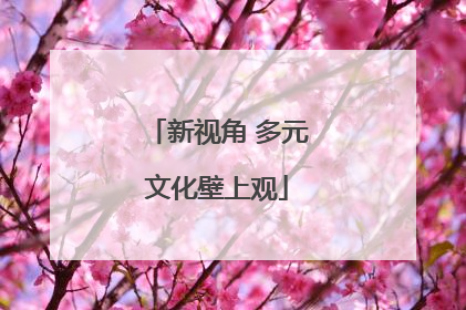 新视角 多元文化壁上观
