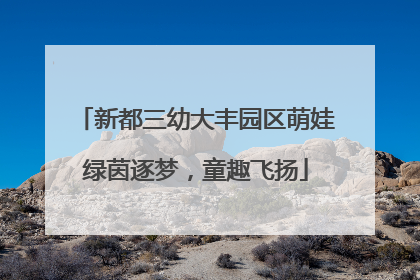 新都三幼大丰园区萌娃绿茵逐梦，童趣飞扬