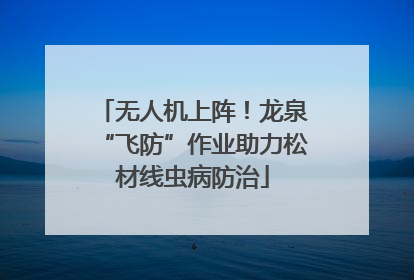 无人机上阵！龙泉“飞防”作业助力松材线虫病防治