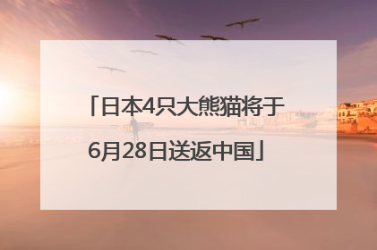 日本4只大熊猫将于6月28日送返中国