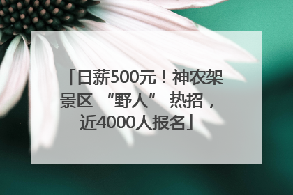 日薪500元！神农架景区 “野人” 热招，近4000人报名