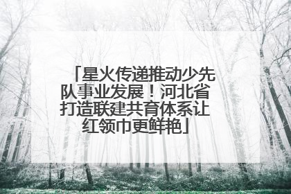 星火传递推动少先队事业发展！河北省打造联建共育体系让红领巾更鲜艳
