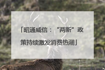 昭通威信：“两新”政策持续激发消费热潮