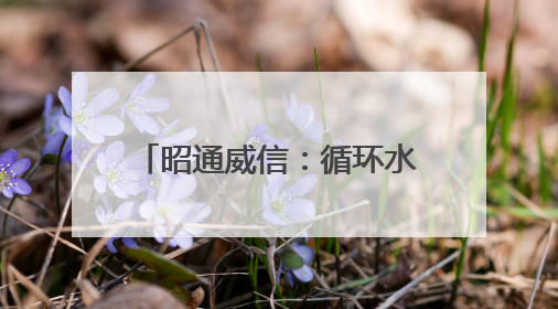 昭通威信：循环水养虾助力产业升级