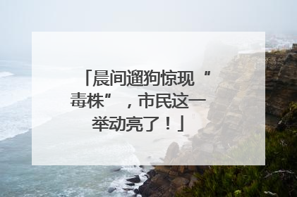 晨间遛狗惊现“毒株”，市民这一举动亮了！