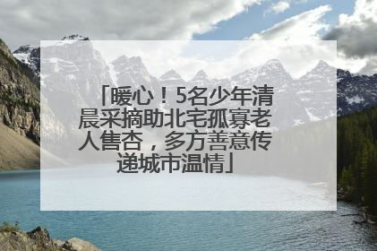 暖心！5名少年清晨采摘助北宅孤寡老人售杏，多方善意传递城市温情