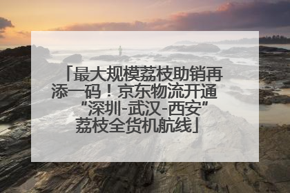 最大规模荔枝助销再添一码！京东物流开通“深圳-武汉-西安” 荔枝全货机航线