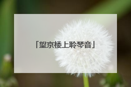 望京楼上聆琴音
