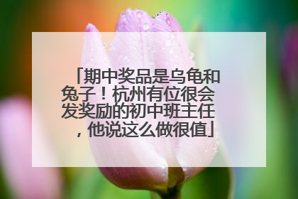 期中奖品是乌龟和兔子！杭州有位很会发奖励的初中班主任，他说这么做很值