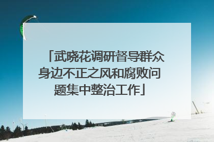武晓花调研督导群众身边不正之风和腐败问题集中整治工作