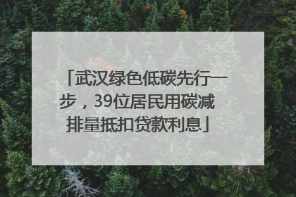 武汉绿色低碳先行一步，39位居民用碳减排量抵扣贷款利息