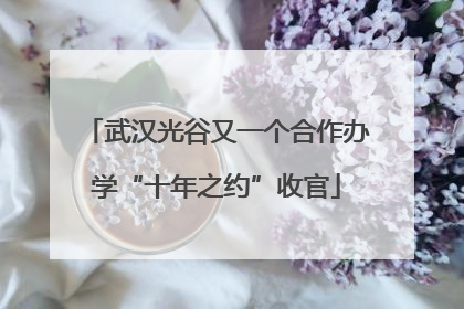 武汉光谷又一个合作办学“十年之约”收官