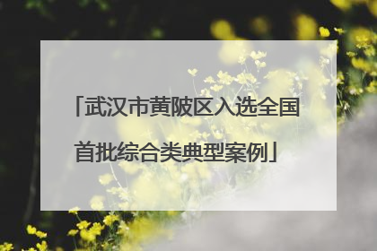 武汉市黄陂区入选全国首批综合类典型案例