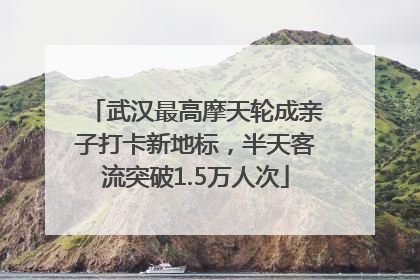 武汉最高摩天轮成亲子打卡新地标，半天客流突破1.5万人次