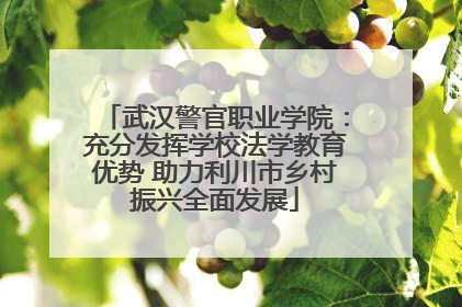 武汉警官职业学院：充分发挥学校法学教育优势 助力利川市乡村振兴全面发展