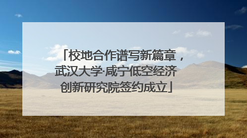 校地合作谱写新篇章，武汉大学·咸宁低空经济创新研究院签约成立