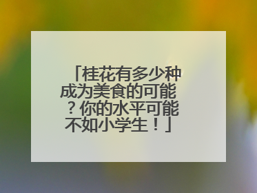 桂花有多少种成为美食的可能？你的水平可能不如小学生！