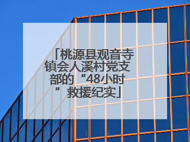 桃源县观音寺镇会人溪村党支部的“48小时”救援纪实
