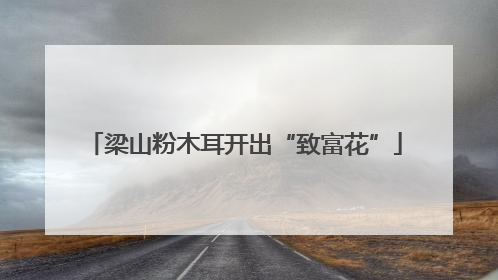 梁山粉木耳开出“致富花”