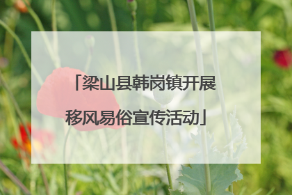 梁山县韩岗镇开展移风易俗宣传活动