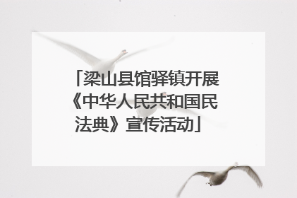 梁山县馆驿镇开展《中华人民共和国民法典》宣传活动