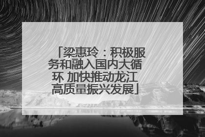 梁惠玲：积极服务和融入国内大循环 加快推动龙江高质量振兴发展