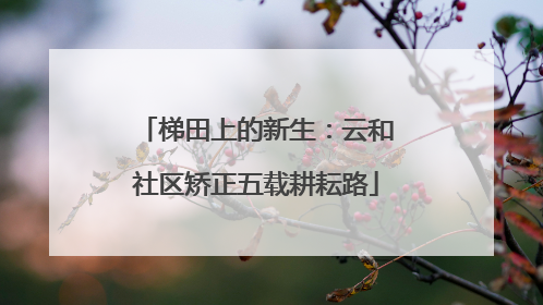 梯田上的新生：云和社区矫正五载耕耘路