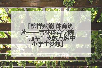 榜样赋能 体育筑梦——吉林体育学院“冠军”支教点燃中小学生梦想