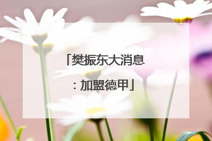 樊振东大消息：加盟德甲