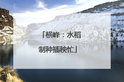 横峰：水稻制种插秧忙