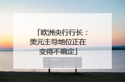 欧洲央行行长：美元主导地位正在变得不确定