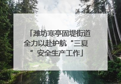 潍坊寒亭固堤街道全力以赴护航“三夏”安全生产工作
